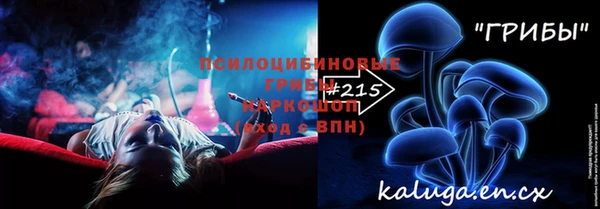 гашик Медногорск