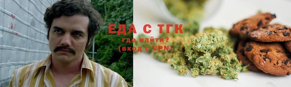 гашик Медногорск