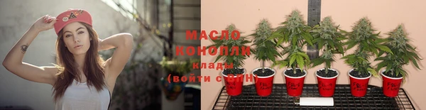 гашик Медногорск