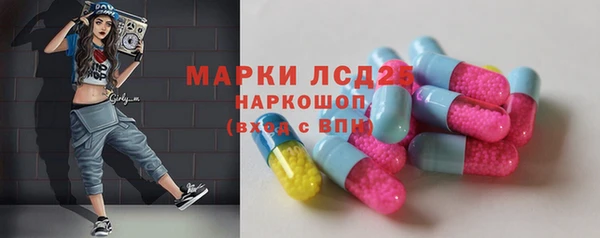 гашик Медногорск