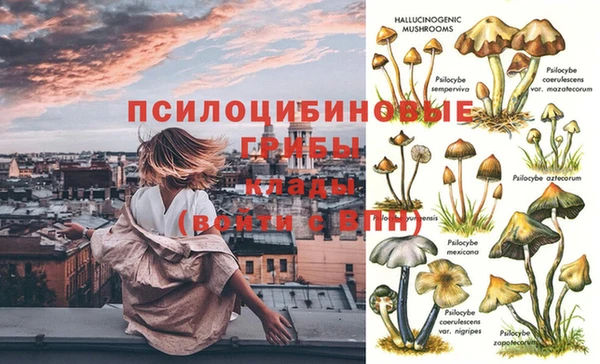 гашик Медногорск