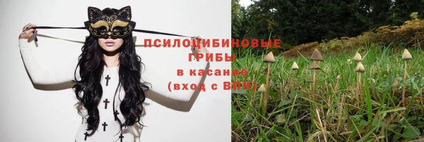 соль ск Мегион